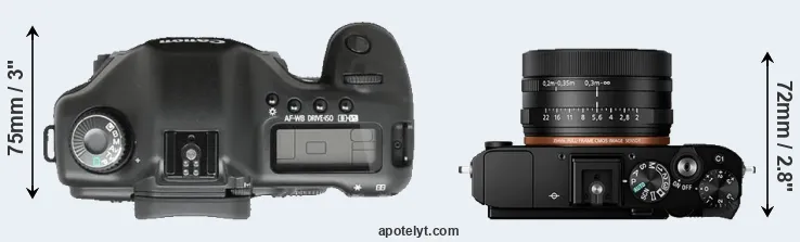 Compare 5D versus RX1R II top