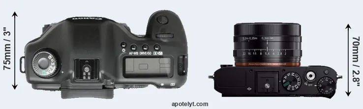 Compare 5D versus RX1R top