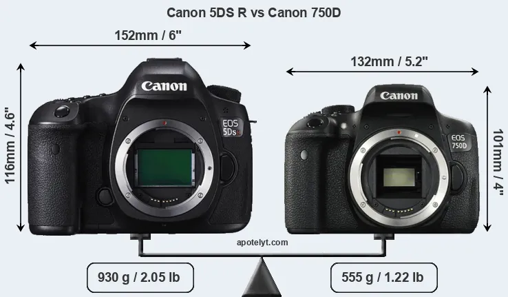 Size Canon 5DS R vs Canon 750D