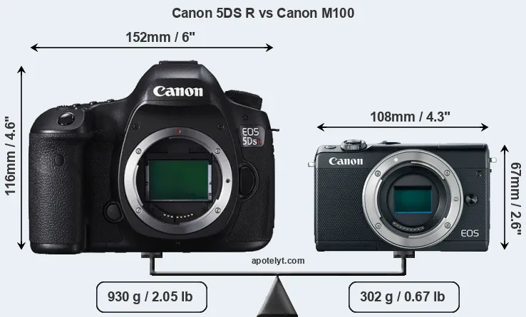 Size Canon 5DS R vs Canon M100
