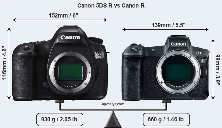 Size Canon 5DS R vs Canon R