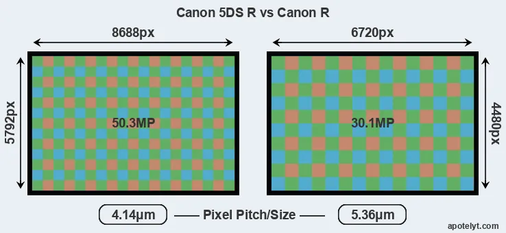 5DS R versus Canon R MP