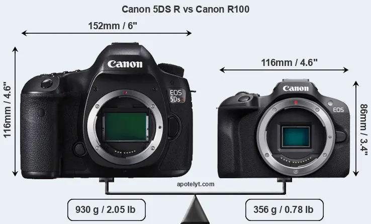Size Canon 5DS R vs Canon R100