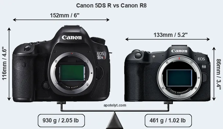 Size Canon 5DS R vs Canon R8
