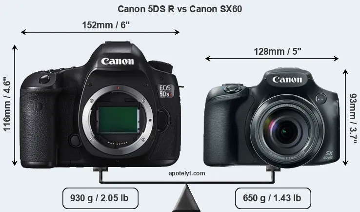 Size Canon 5DS R vs Canon SX60