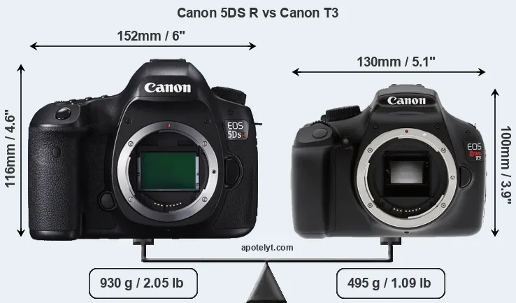 Size Canon 5DS R vs Canon T3