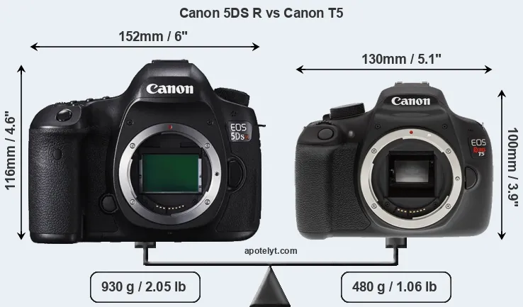 Size Canon 5DS R vs Canon T5