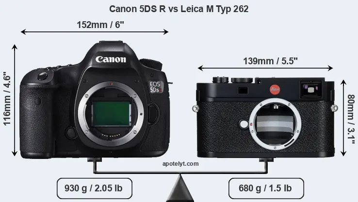 Size Canon 5DS R vs Leica M Typ 262