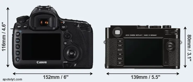 Comparison 5DS R or M Typ 262 rear