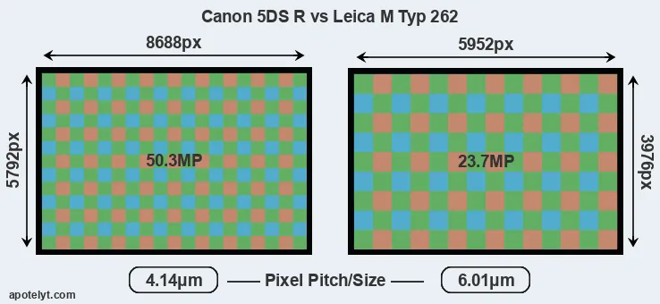 5DS R versus M Typ 262 MP