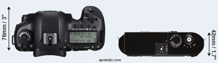 Compare 5DS R versus M Typ 262 top