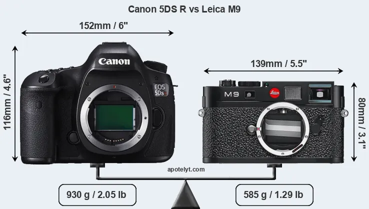 Size Canon 5DS R vs Leica M9