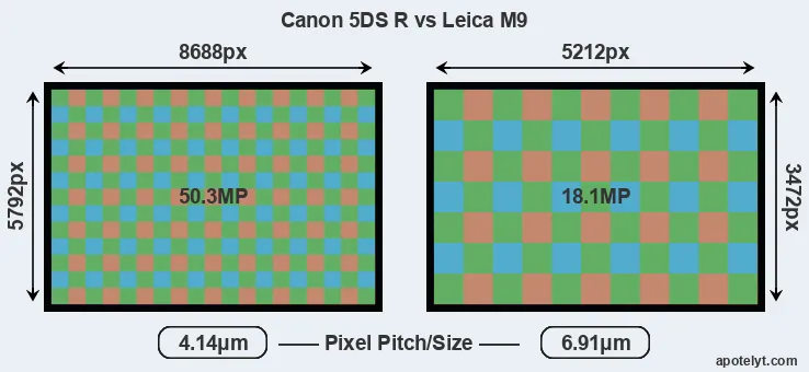 5DS R versus M9 MP
