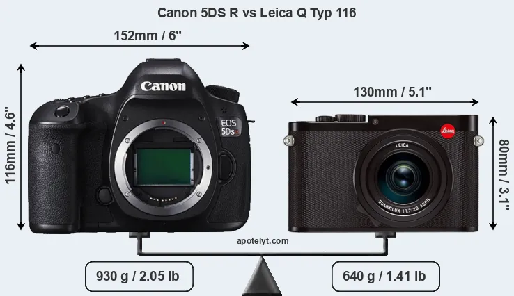 Size Canon 5DS R vs Leica Q Typ 116