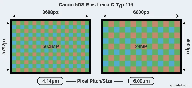 5DS R versus Q Typ 116 MP
