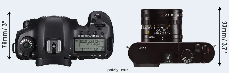 Compare 5DS R versus Q Typ 116 top