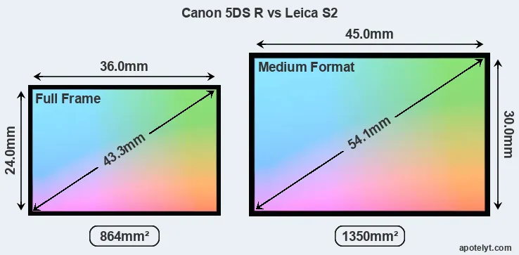 Canon 5DS R and Leica S2 sensor measures