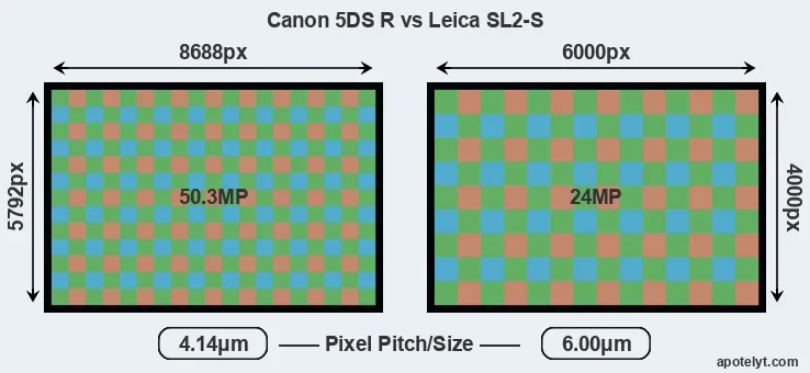 5DS R versus Leica SL2-S MP