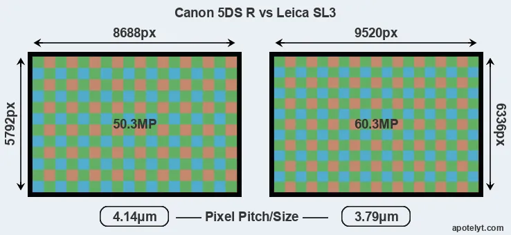 5DS R versus Leica SL3 MP