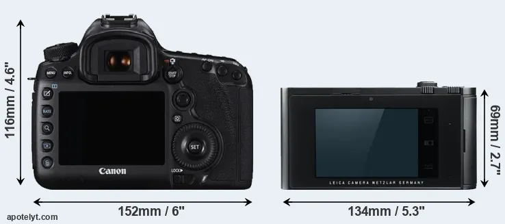 Comparison 5DS R or T Typ 701 rear
