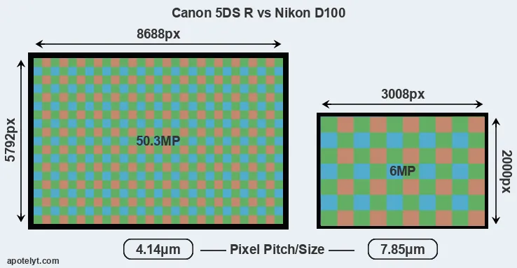 5DS R versus D100 MP