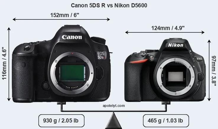Size Canon 5DS R vs Nikon D5600