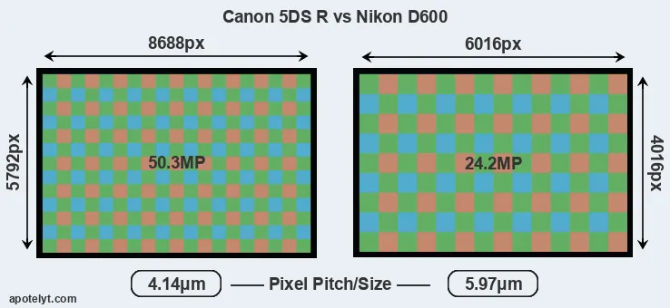 5DS R versus D600 MP