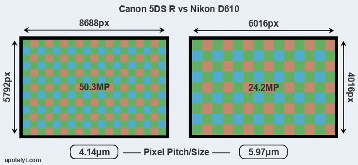 5DS R versus D610 MP