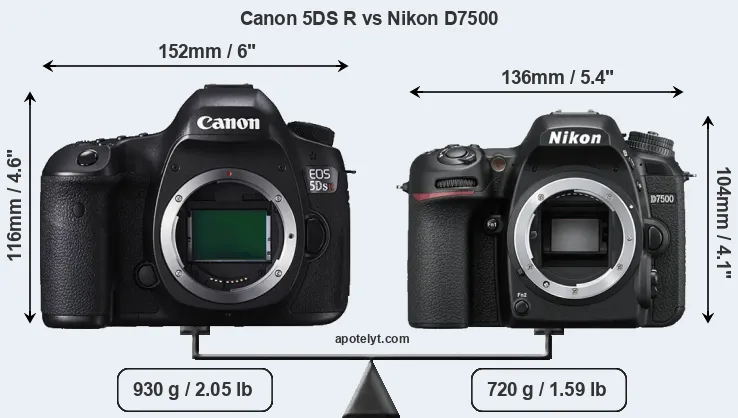Size Canon 5DS R vs Nikon D7500