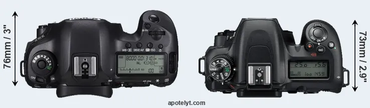 Compare 5DS R versus D7500 top
