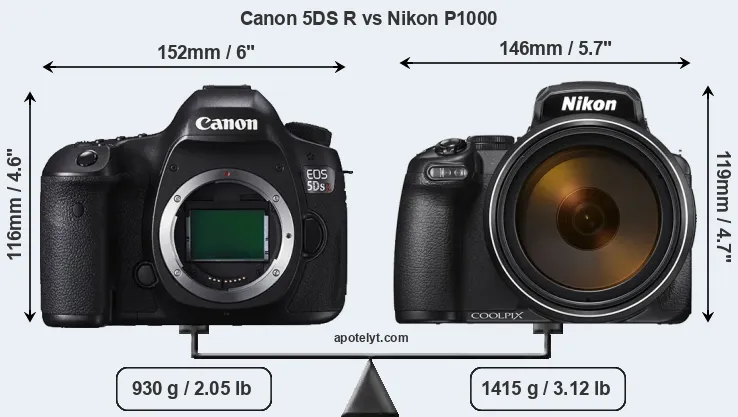 Size Canon 5DS R vs Nikon P1000