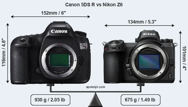 Size Canon 5DS R vs Nikon Z6