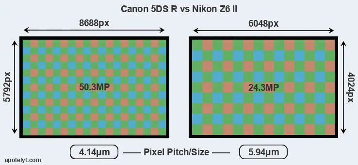 5DS R versus Z6 II MP
