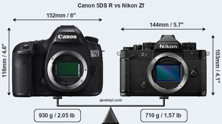 Size Canon 5DS R vs Nikon Zf