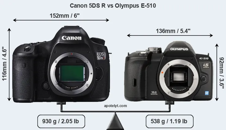 Size Canon 5DS R vs Olympus E-510