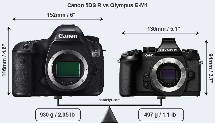 Size Canon 5DS R vs Olympus E-M1