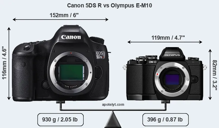 Size Canon 5DS R vs Olympus E-M10