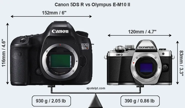 Size Canon 5DS R vs Olympus E-M10 II