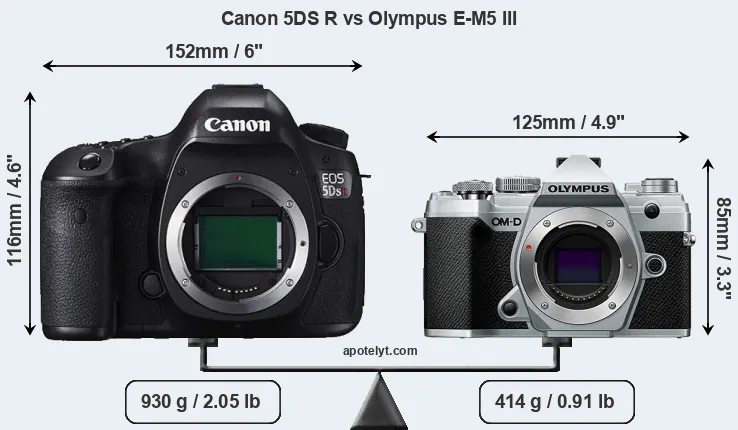 Size Canon 5DS R vs Olympus E-M5 III