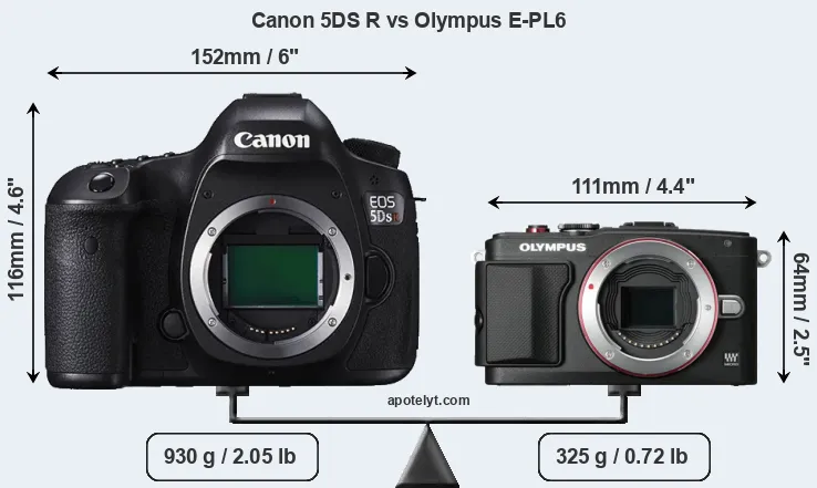 Size Canon 5DS R vs Olympus E-PL6