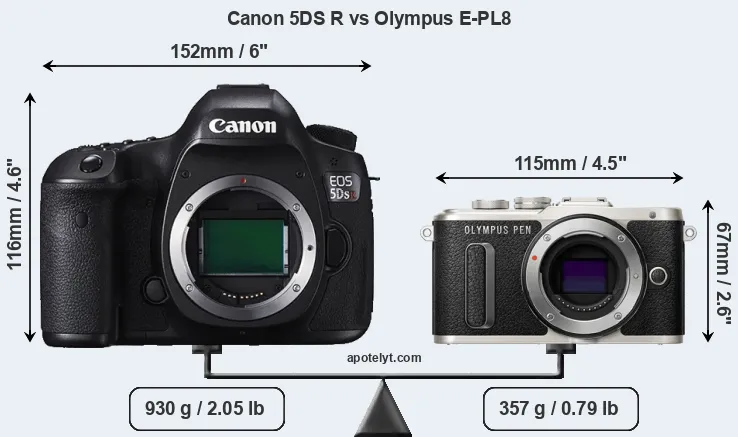 Size Canon 5DS R vs Olympus E-PL8