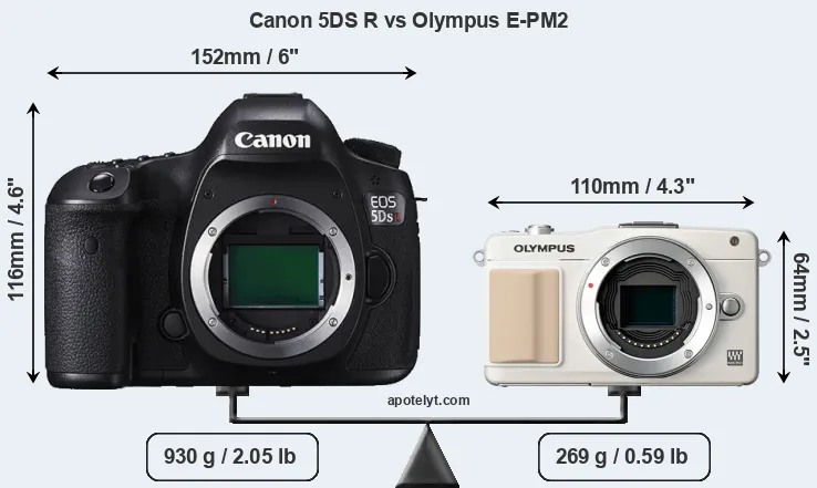 Size Canon 5DS R vs Olympus E-PM2