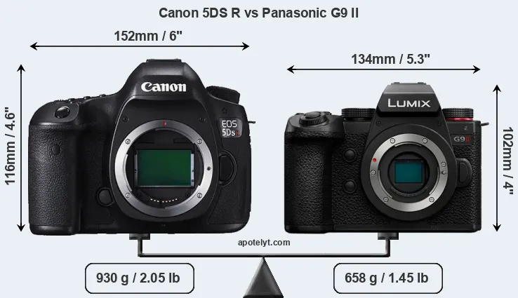Size Canon 5DS R vs Panasonic G9 II