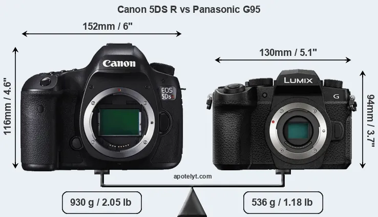 Size Canon 5DS R vs Panasonic G95