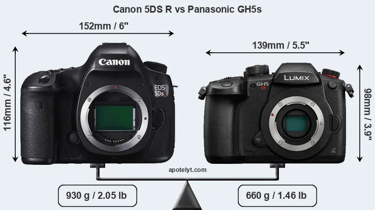 Size Canon 5DS R vs Panasonic GH5s