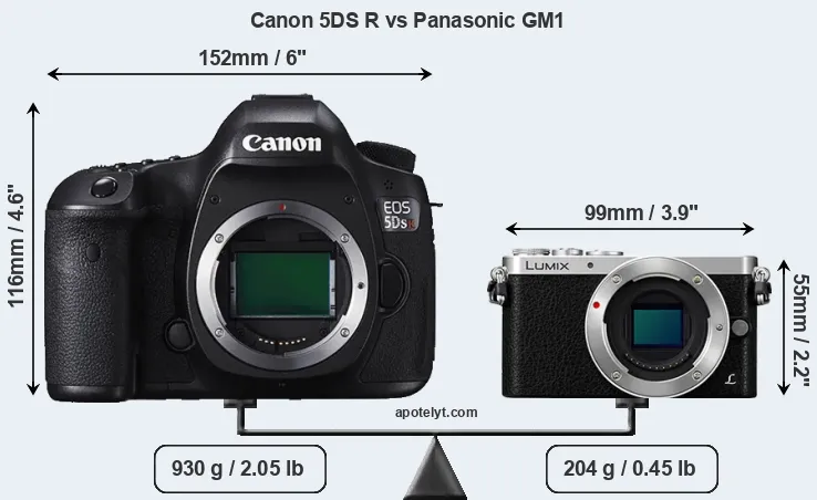 Size Canon 5DS R vs Panasonic GM1