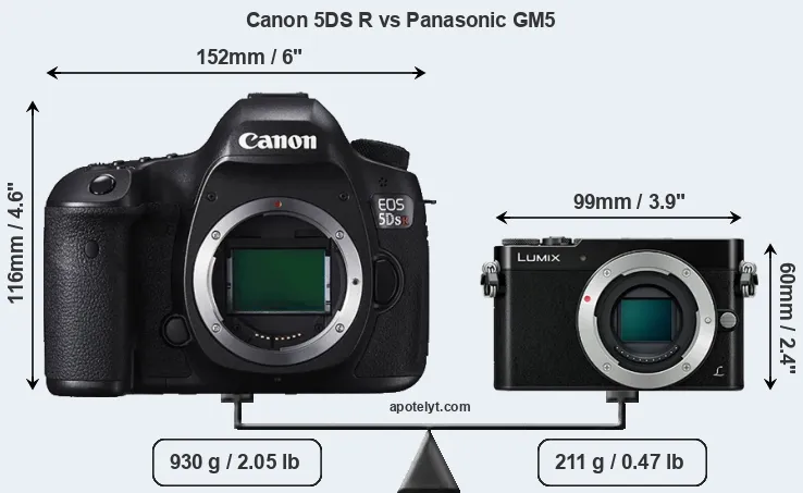 Size Canon 5DS R vs Panasonic GM5