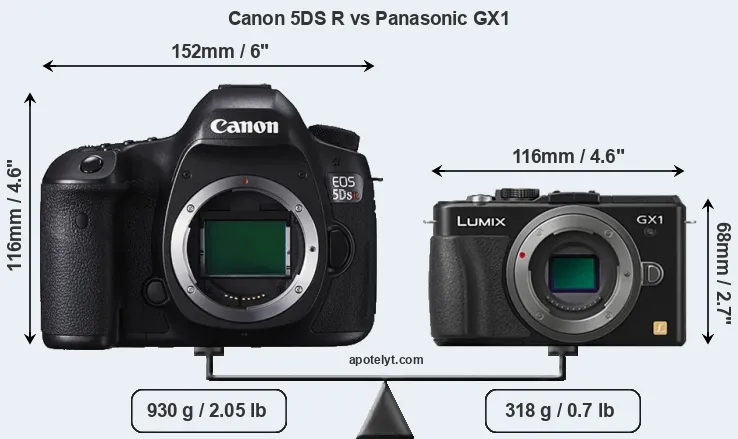 Size Canon 5DS R vs Panasonic GX1