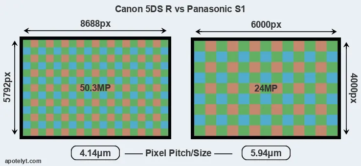 5DS R versus S1 MP