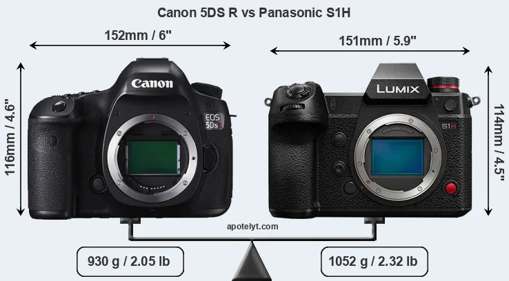 Size Canon 5DS R vs Panasonic S1H